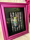 Home Decor - Bugs Bugs Bugs frame