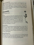 The Modern Witchcraft Guide to Magickal Herbs - Book