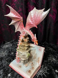 Pink Dragon in Fairytale Book 28cm