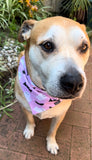 TSDC Betty Boo's Pet Accessories Bandanas - Rainbow Skulls