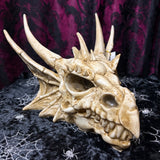 Antique Dragon Skull Head 26 x 17cm