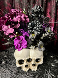 Twin Skulls - Home Decor Display