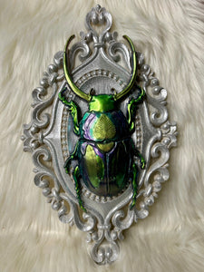 Home Decor - Bugs wall hanger