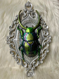 Home Decor - Bugs wall hanger