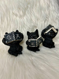 Black Wise Cats with Spellbooks