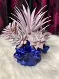 Three Headed Dog - Home Decor Display