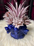 Three Headed Dog - Home Decor Display