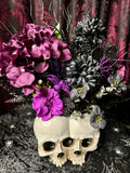 Twin Skulls - Home Decor Display