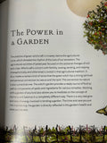 The Green Witch Illustrated