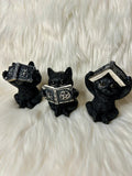 Black Wise Cats with Spellbooks