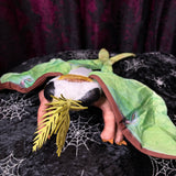 Moth Plush - Green