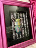 Home Decor - Bugs Bugs Bugs frame