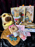 Adopt a Capybara - Self Care Bundle (and lucky dip)