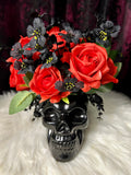 Skull - Home Decor Display