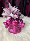 Three Headed Dog - Home Decor Display