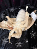 Moth Plush - Light Browns