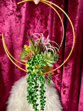 Succulent Moon Hanger - Home Decor Display
