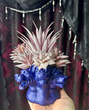 Three Headed Dog - Home Decor Display