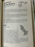 The Modern Witchcraft Guide to Magickal Herbs - Book