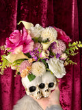Twin Skulls - Home Decor Display