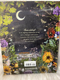 The Green Witch Illustrated