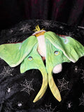 Moth Plush - Green