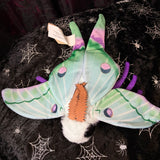 Moth Plush - Light Blues