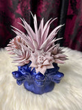 Three Headed Dog - Home Decor Display