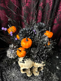 Twin Skulls - Home Decor Display