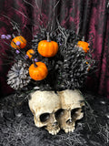Twin Skulls - Home Decor Display