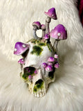 Skull with Growing Mushrooms 21cm