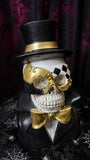 Male Skull Bust with Mask 30cm