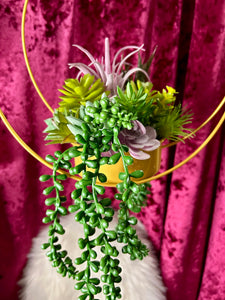 Succulent Moon Hanger - Home Decor Display