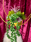 Succulent Moon Hanger - Home Decor Display