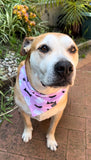 TSDC Betty Boo's Pet Accessories Bandanas - Ghostface & Hearts