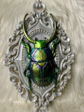 Home Decor - Bugs wall hanger