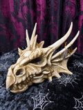 Antique Dragon Skull Head 26 x 17cm