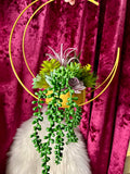 Succulent Moon Hanger - Home Decor Display