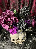 Twin Skulls - Home Decor Display