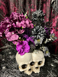 Twin Skulls - Home Decor Display