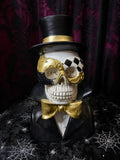 Male Skull Bust with Mask 30cm