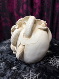WHITE ROSE SKULL WITH SERPENTS 15CM