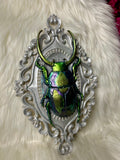 Home Decor - Bugs wall hanger