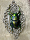 Home Decor - Bugs wall hanger