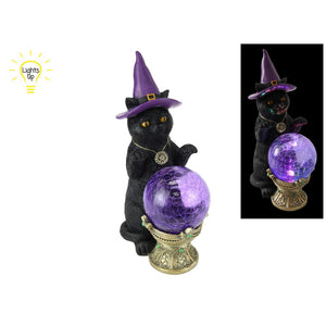 Black Cat Sorcerers Apprentice 31cm