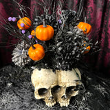 Twin Skulls - Home Decor Display