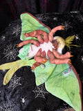 Moth Plush - Green