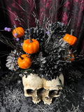 Twin Skulls - Home Decor Display