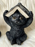 Black Wise Cats with Spellbooks