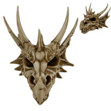 Antique Dragon Skull Head 26 x 17cm